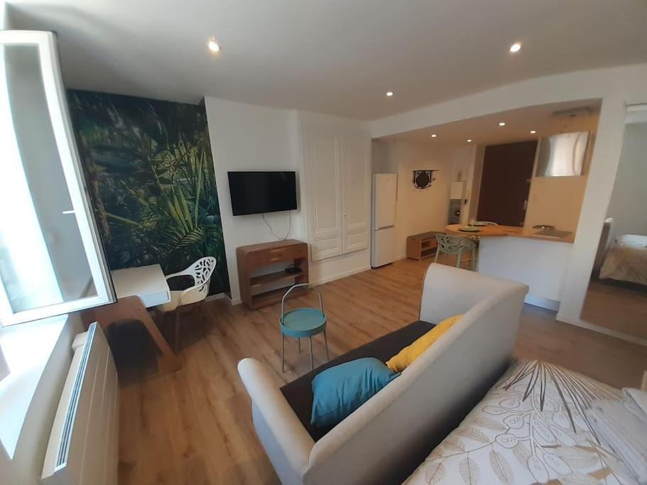 Classe 3 Etoiles Ideal Vienne Centre Ville 20 Min De Lyon Zewnętrze zdjęcie